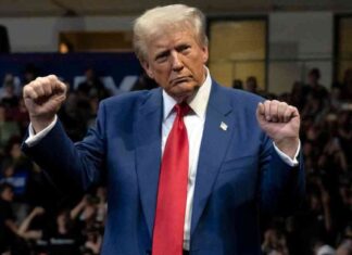 Mastering the Trump Trade: Success Story of a Crypto Hedge Fund news-09112024-154323