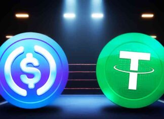 Choosing Between USDT and USDC: Important Factors to Consider news-10112024-034356