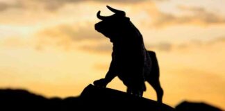 Bitcoin Hits Record High of $79K, Liquidates $280M in Bearish Bets news-10112024-152345