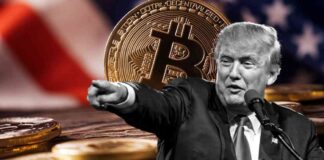 Bitcoin Price Surges to Over $80k After Trump’s Victory news-11112024-032728