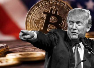 Bitcoin Price Surges to Over $80k After Trump’s Victory news-11112024-032728