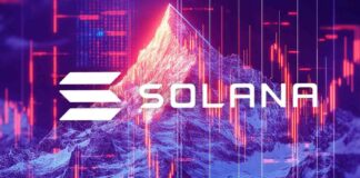 Solana Price Surge Propels Market Cap Over $100B, Outpacing Bitcoin and Ethereum news-11112024-154739