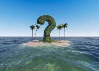 Bitcoin Price Forecast: Will Record Rally Hit Roadblock at $90K-$100K Range? news-11112024-215333