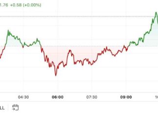 Bitcoin Price Hits $82K in Weekend Rally: First Mover Americas news-12112024-035526