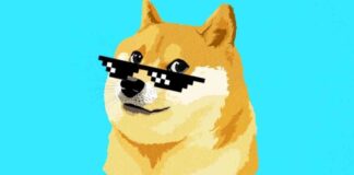 Dogecoin Price Soars 48% as Traders Aim for $1 Target news-12112024-095715