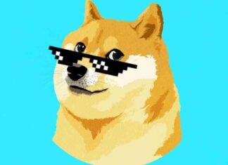 Dogecoin Price Soars 48% as Traders Aim for $1 Target news-12112024-095715