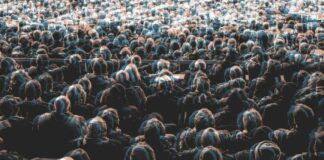 Bitcoin Market Euphoria: Risks of Pullbacks and Leverage Washouts, Trading Firm Warns – BTC Price Near $90K news-12112024-095748