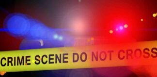 Crypto Influencer Found Dead in Montreal Amid Canadian Regulator Investigation: Report news-14112024-154433