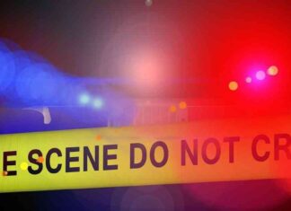 Crypto Influencer Found Dead in Montreal Amid Canadian Regulator Investigation: Report news-14112024-154433