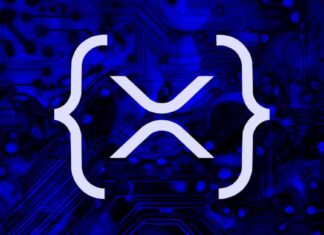 Societe Generale Launches Stablecoin on Ripple’s XRP Ledger for Increased Adoption news-14112024-214407