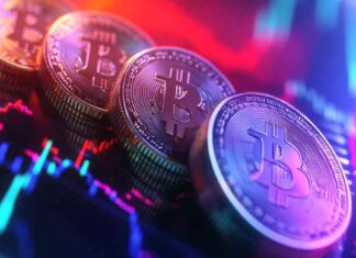 Bitcoin Market Cap Divergence: A Sign of Euphoria news-15112024-034558