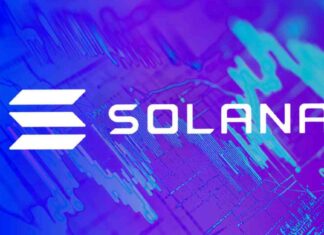 Maximizing Revenue with Solana’s Record-Breaking Daily Fees & Engagement news-15112024-034701