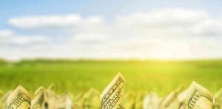 Bitcoin Market Analysis: Predictive Patterns Hint at Recent Slide in Trump Media Shares news-15112024-155129