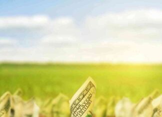 Bitcoin Market Analysis: Predictive Patterns Hint at Recent Slide in Trump Media Shares news-15112024-155129