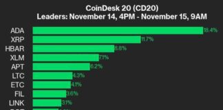 ADA Surges 18.4% in CoinDesk 20 Performance Update: Leading Index Higher news-15112024-215343