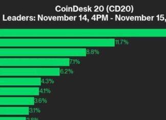 ADA Surges 18.4% in CoinDesk 20 Performance Update: Leading Index Higher news-15112024-215343
