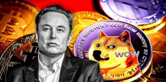 Elon Musk Dodges $259B Lawsuit as Dogecoin Investors Withdraw Case news-16112024-155705