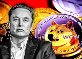Elon Musk Dodges $259B Lawsuit as Dogecoin Investors Withdraw Case news-16112024-155705