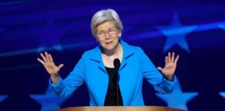 Elizabeth Warren’s Resilient Rise in the Crypto Sector news-16112024-155818