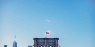 2024 Elections: Impact of Crypto Industry on the Outcome news-16112024-155850