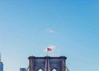 2024 Elections: Impact of Crypto Industry on the Outcome news-16112024-155850