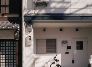 Maximizing Profit: Strategies for Beating Bitcoin’s Volatility news-16112024-155914