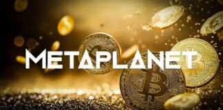 Metaplanet Seeks $11M for Bitcoin Buys, Shareholder Benefits Program Offered news-18112024-160047