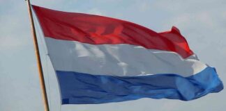 Kraken Launches MiCA-Compliant Euro & Dollar Stablecoins news-19112024-101035