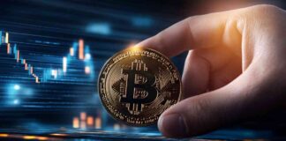 Bitwise Bitcoin ETF to Begin Options Trading Tomorrow news-19112024-160613