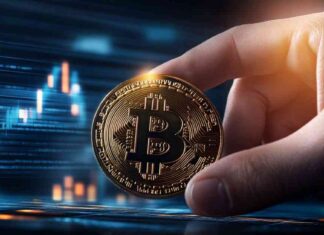 Bitwise Bitcoin ETF to Begin Options Trading Tomorrow news-19112024-160613