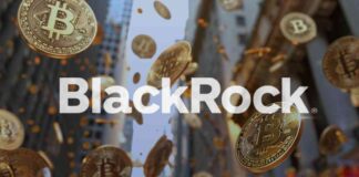 IBIT Options Trading Volume Hits $1.6 Billion by Mid-Day news-19112024-220751