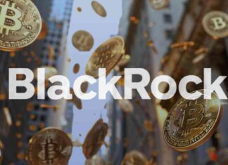 IBIT Options Trading Volume Hits $1.6 Billion by Mid-Day news-19112024-220751