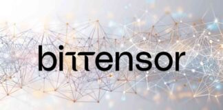 Fueling Decentralized AI Innovation: DCG Launches Yuma with Bittensor news-21112024-060458