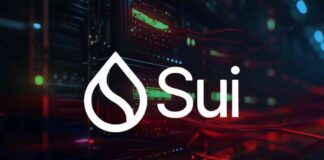Sui Network Outage Leads to 7% Price Drop in Bull Market news-21112024-181036