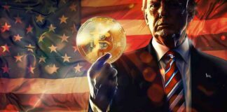 Establishing Trump’s Crypto Advisory Council and Strategic Bitcoin Reserve: A Detailed Report news-22112024-001322