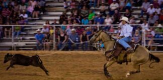 U.S. SEC Crypto Lawsuit Loss Over ‘Dealer’ Definition in Crypto Industry news-22112024-001451