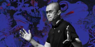 Navigating the Memecoin Mania: Binance Founder Urges Utility Innovation news-26112024-173014