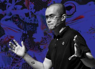 Navigating the Memecoin Mania: Binance Founder Urges Utility Innovation news-26112024-173014