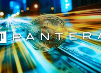 Pantera Bitcoin Fund Surges Over 1000x, Predicts $15 Trillion Market Cap in 10 Years news-26112024-233322