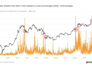 Short-Term BTC Movement to Exchanges Signals Local Bottom: Van Straten news-27112024-174239