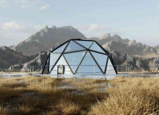 Comparing Solana and Ethereum: Key Metrics Analysis 2023-2024 news-27112024-234450