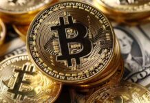 SOS Stock Soars 100% After $50 Million Bitcoin Investment Approval news-28112024-114601