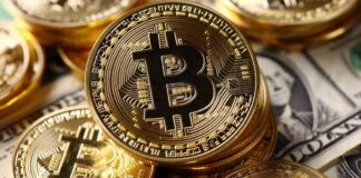 SOS Stock Soars 100% After $50 Million Bitcoin Investment Approval news-28112024-114601