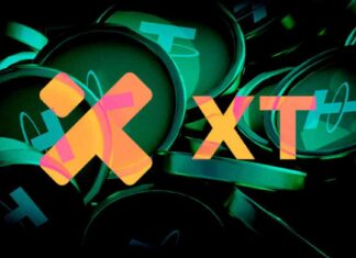 Regenerated Title: XT Exchange Reassures Users Following $1.7 Million Asset Theft news-28112024-174844