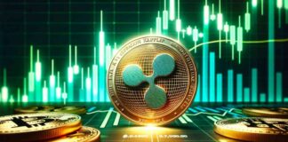 Beware of ‘Leverage-Driven Pump’ as XRP Price Surges: Analyst Alert news-30112024-060642
