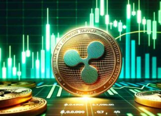 Beware of ‘Leverage-Driven Pump’ as XRP Price Surges: Analyst Alert news-30112024-060642