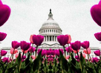 Bitcoin Price Surges Following Positive U.S. Employment Report bitcoin-price-surges-following-positive-us-employment-report