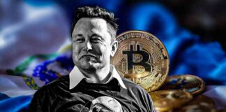 El Salvador’s $300M Bitcoin Profit Impresses Elon Musk el-salvadors-300m-bitcoin-profit-mpresses-elon-musk