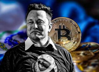 El Salvador’s $300M Bitcoin Profit Impresses Elon Musk el-salvadors-300m-bitcoin-profit-mpresses-elon-musk