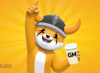 Floki DAO Proposal for European ETP: Second to Dogecoin in the Market floki-dao-proposal-for-european-etp-second-to-dogecoin-in-the-market